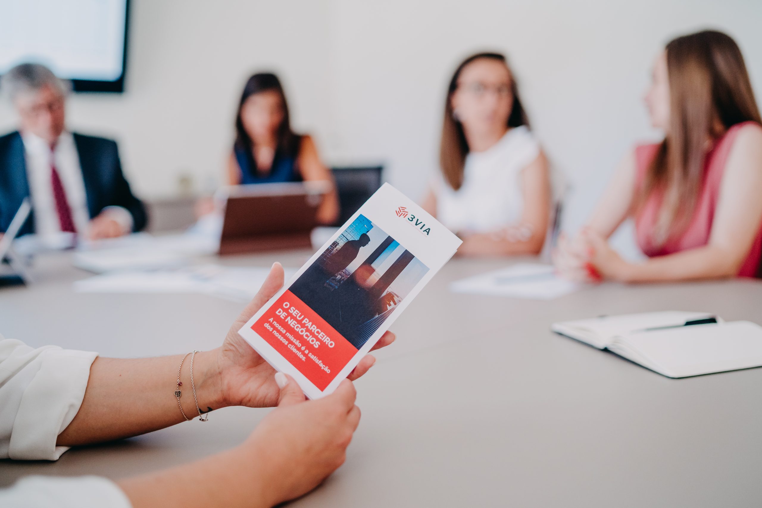 3VIA - consultancy company